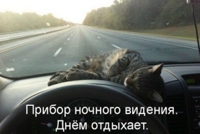 Подборка автоприколов. Часть 101