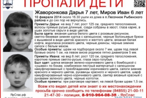 Двое маленьких детей пропали в селе под Ярославлем