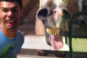 Фотоприкол недели