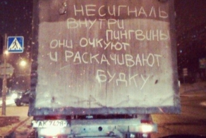Пингвины