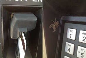 Фотоприкол онлайн