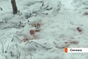 Убийство подростка в городе Сегежа