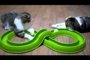 Самая лучшая игрушка для котЭ!