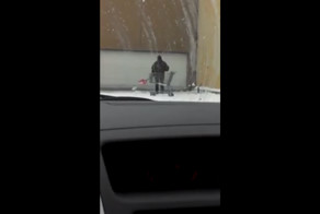 Зато всегда при деле