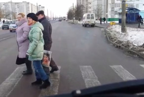 Пешеходы и водитель