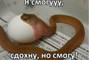 Я смогу!