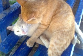 Красивые фото