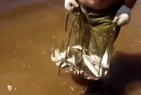 Рыбак со стажем