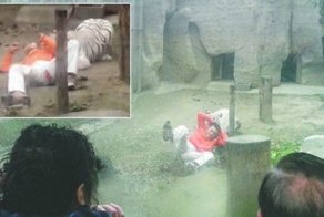 Китаец предложил себя на съедение тиграм