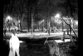 Новые подробности в деле избитой женщины с коляской