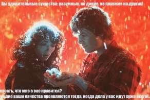 Фишкина солянка за 19.02.2014