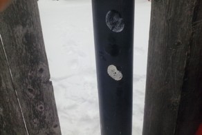 Лизнул забор