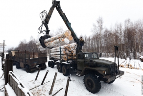 Процесс производства фанеры