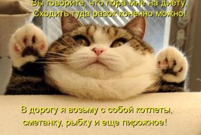 Котоматрицы - лучшее собрание!