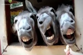 Элитные войска Мали. Малийские солдаты битбоксеры