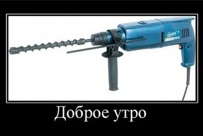 Доброе утро, сосед!