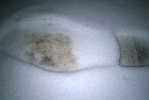 Как я по следу шел, или как поймать негодяя