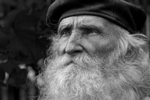 Уроки мудрости…