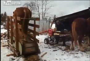 Одной лошадиной силы достаточно