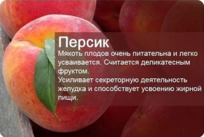 Познавательные факты о фруктах и ягодах