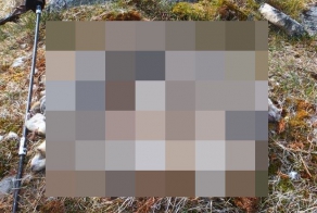 Уютное гнездышко