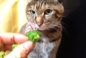 Жадина какая!