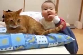 Кот и Ребенок! Стальные нервы!