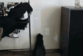 Блин, аж в шею вступило…