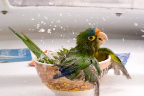 Фишкин ZOOпарк…