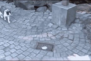 Этот неловкий момент…