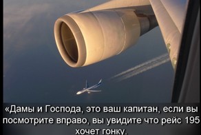 Типичный Бортпроводник