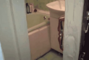 Отмечаем День кошек. ч.1