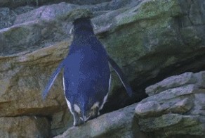 Аааааа... Бум,бум,бум,бум.. Где я? Кто я?