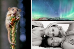 20 лучших фотографий недели (24.2.2013-2.3.2013)