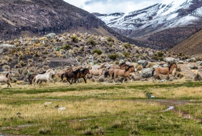 Прогулка по национальному парку Сахама