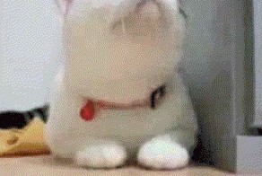 Когда охота, тогда охота