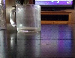 Избавляемся от Арахнофобии!! Слабонервным - смотреть!!