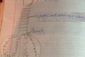 Заглянул в тетрадь дочки и потерял дар речи