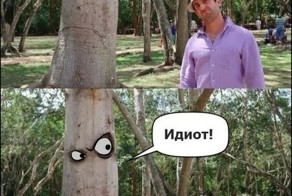 Дерево