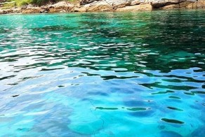 Скоро тепло, скоро лето