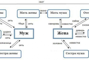 Как не запутаться в родственниках?