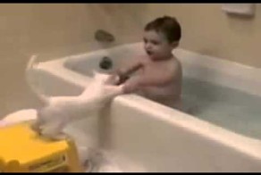 Купание кота