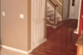 Охотник на приведений