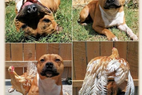 Дружбаны на века