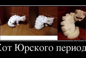 Коты юрского периода