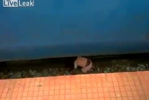 Ребенок погибает на рельсах под поездом