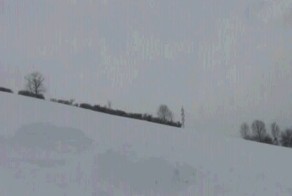 Трюк удался