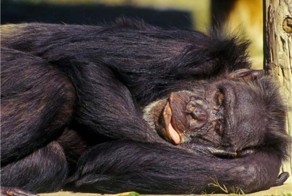 Доброе утро