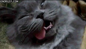 Эй... ты жив? Ты живой?