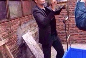 Никогда не целуйте черепах!